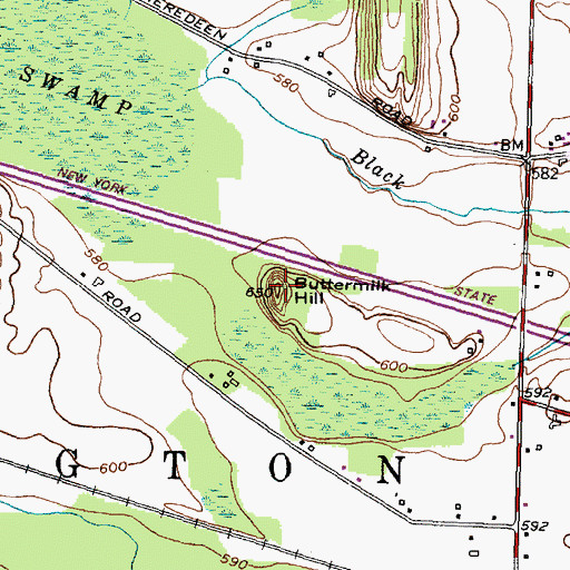 Topographic Map of Buttermilk Hill, NY