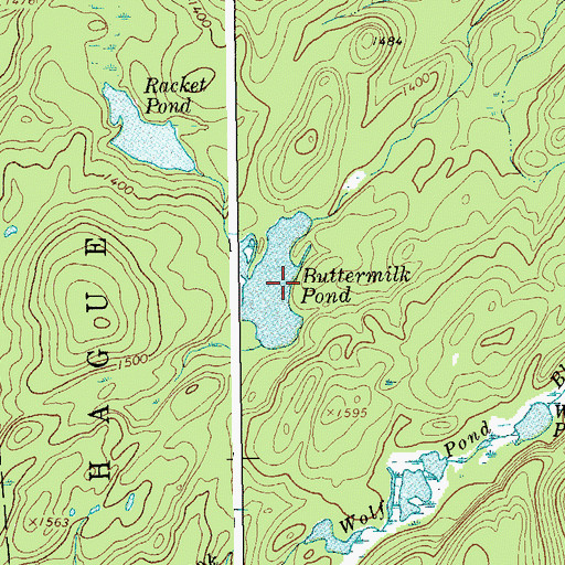 Topographic Map of Buttermilk Pond, NY