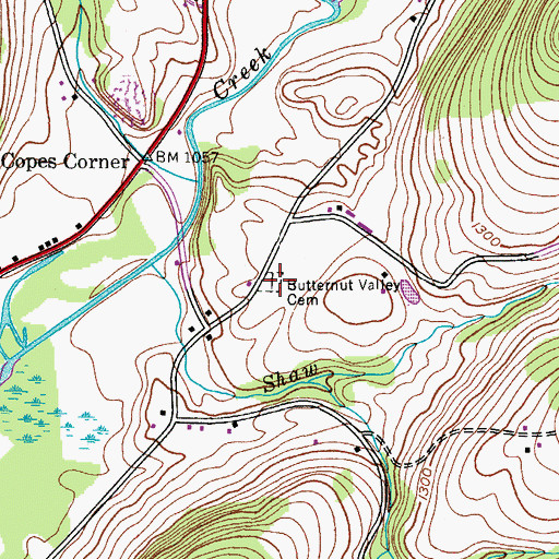 Topographic Map of Butternut Valley Cemetery, NY