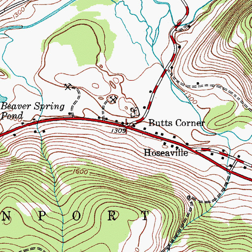 Topographic Map of Butts Corner, NY