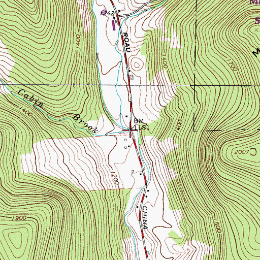 Topographic Map of Cabin Brook, NY