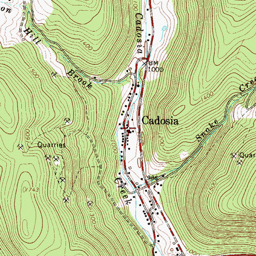 Topographic Map of Cadosia, NY
