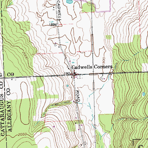 Topographic Map of Cadwells Corners, NY