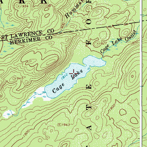 Topographic Map of Cage Lake, NY