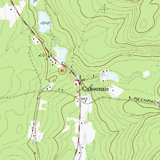 Topographic Map of Cahoonzie, NY