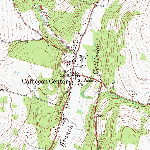 Topographic Map of Callicoon Center, NY