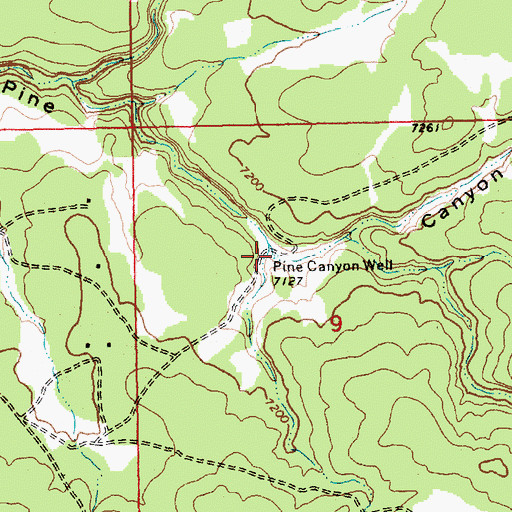 Topographic Map of Pine Canyon Well, AZ