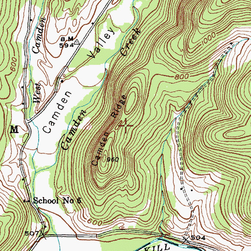 Topographic Map of Camden Ridge, NY