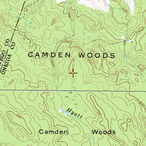 Topographic Map of Camden Woods, NY