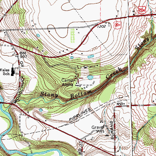 Topographic Map of Camp Aloha, NY