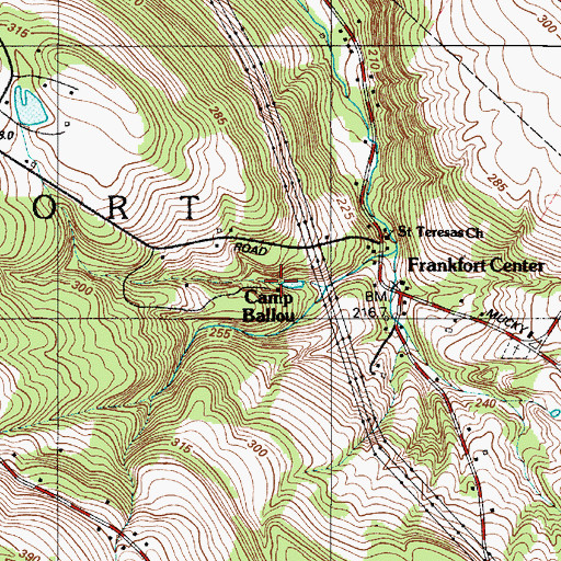 Topographic Map of Camp Ballou, NY