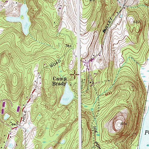 Topographic Map of Camp Brady, NY