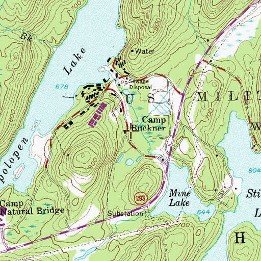 Topographic Map of Camp Buckner, NY