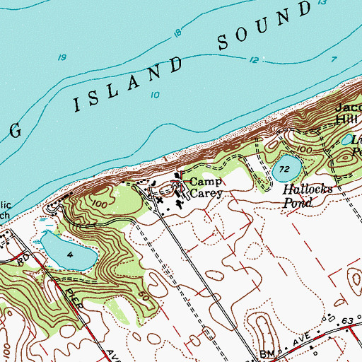 Topographic Map of Camp Carey, NY