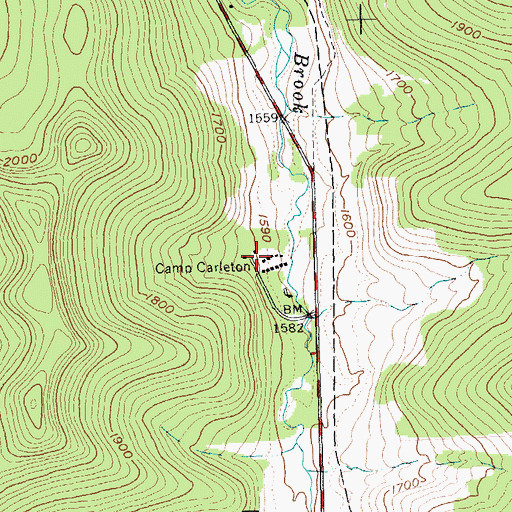 Topographic Map of Camp Carleton, NY