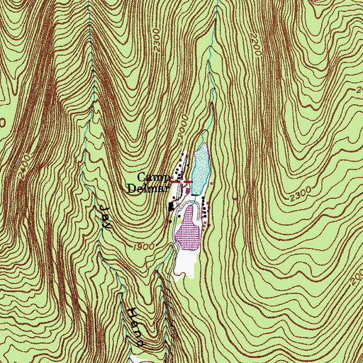 Topographic Map of Camp Delmar, NY