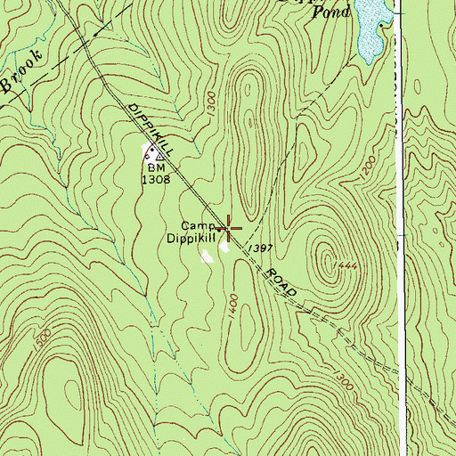 Topographic Map of Camp Dippikill, NY