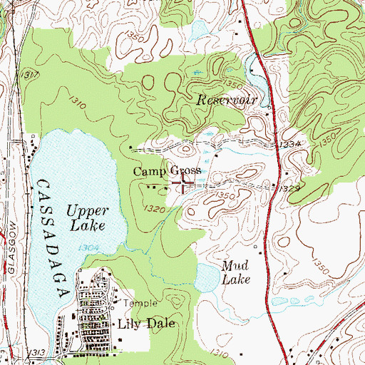 Topographic Map of Camp Gross, NY