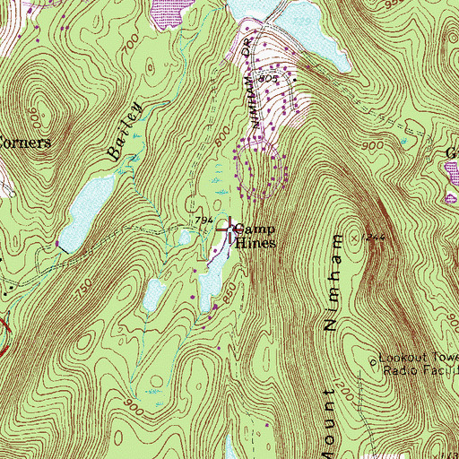 Topographic Map of Camp Hines, NY