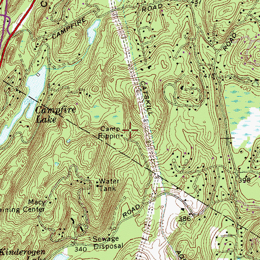 Topographic Map of Camp Rippin, NY