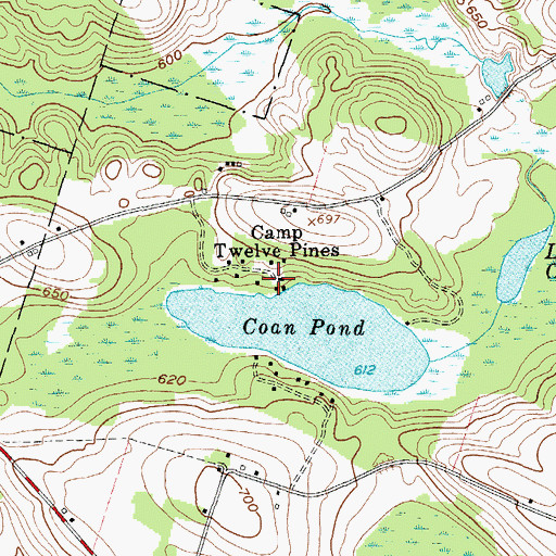 Topographic Map of Camp Twelve Pines, NY