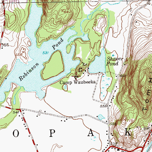 Topographic Map of Camp Waubeeka, NY