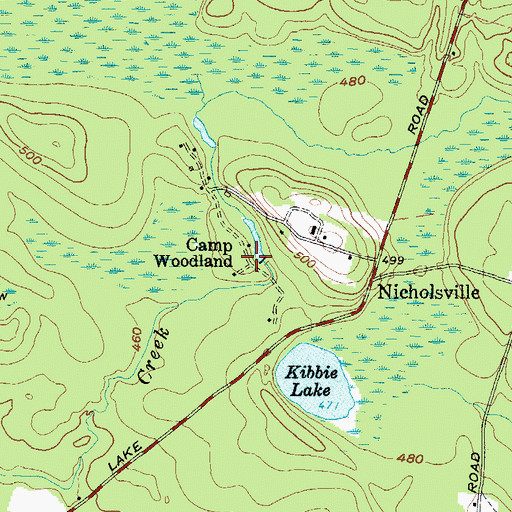 Topographic Map of Camp Woodland, NY