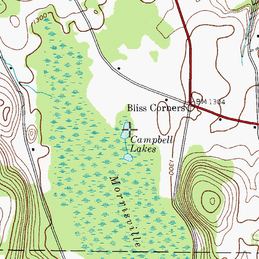 Topographic Map of Campbell Lakes, NY