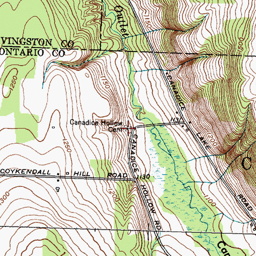 Topographic Map of Canadice Hollow Cemetery, NY