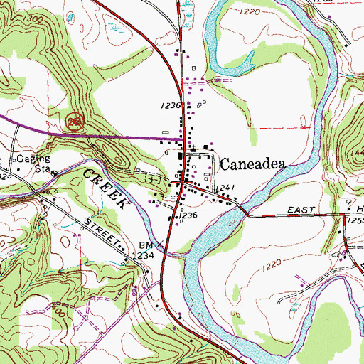 Topographic Map of Caneadea, NY