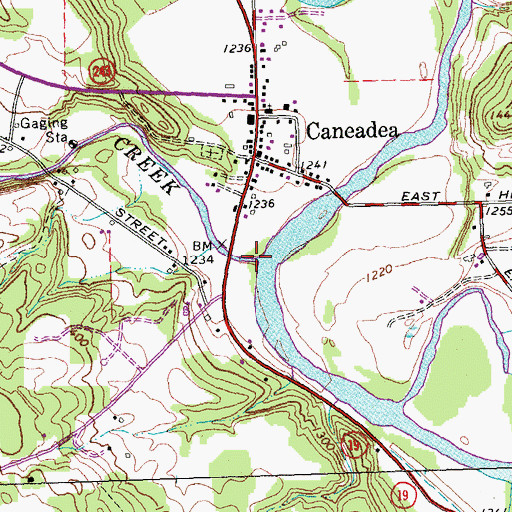 Topographic Map of Caneadea Creek, NY
