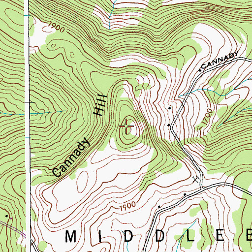Topographic Map of Cannady Hill, NY