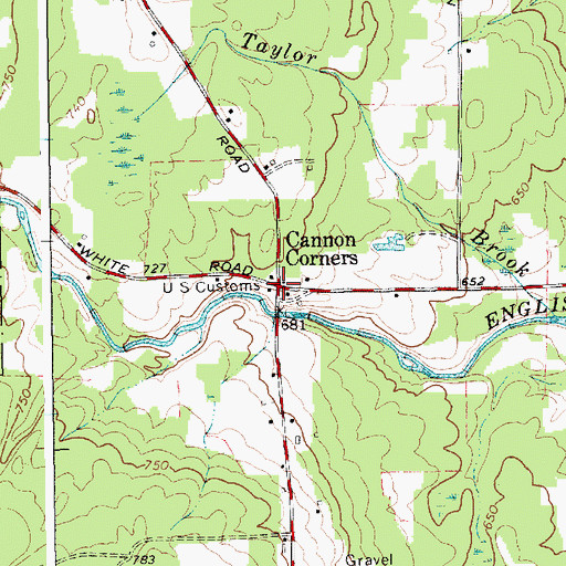 Topographic Map of Cannon Corners, NY