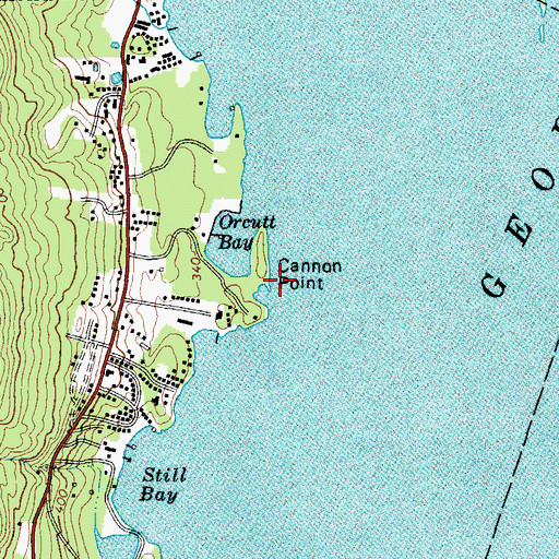 Topographic Map of Cannon Point, NY