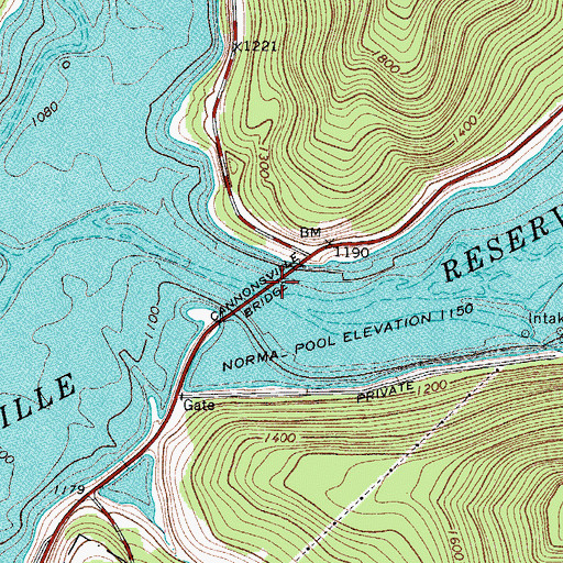 Topographic Map of Cannonsville Bridge, NY