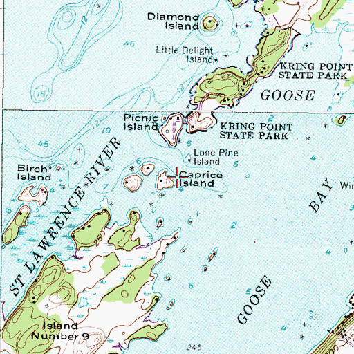Topographic Map of Caprice Island, NY