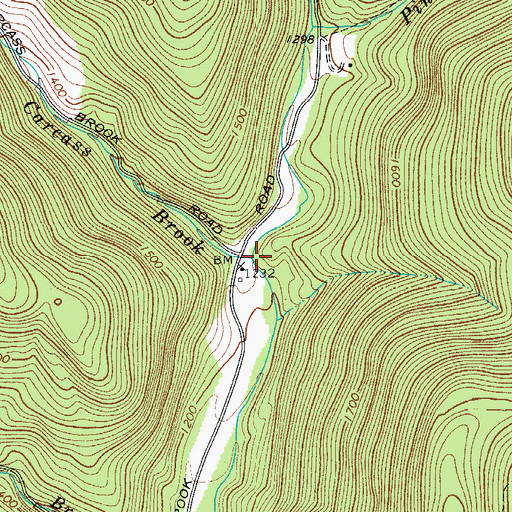 Topographic Map of Carcass Brook, NY
