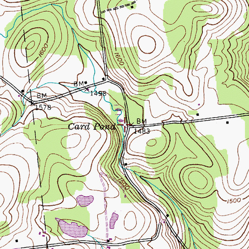 Topographic Map of Card Pond, NY