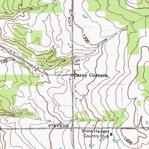 Topographic Map of Carey Corners, NY