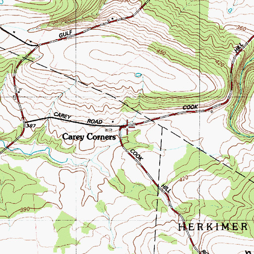 Topographic Map of Carey Corners, NY