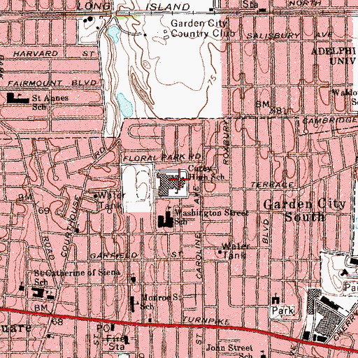 Topographic Map of H Frank Carey High School, NY