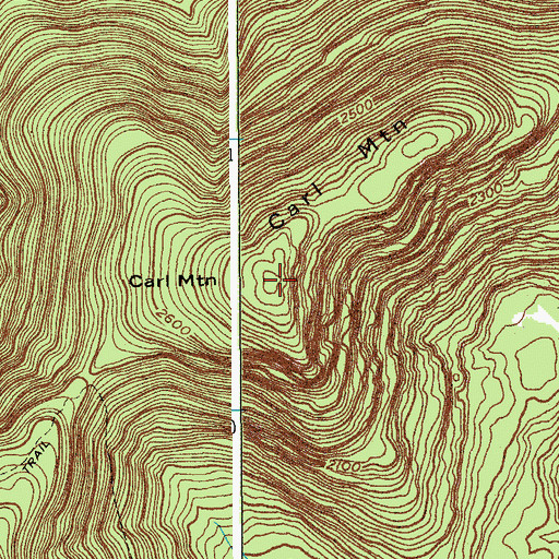 Topographic Map of Carl Mountain, NY