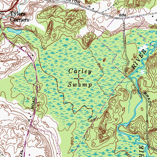 Topographic Map of Carley Swamp, NY