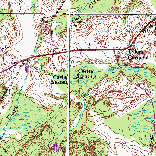 Topographic Map of Carley Swamp, NY