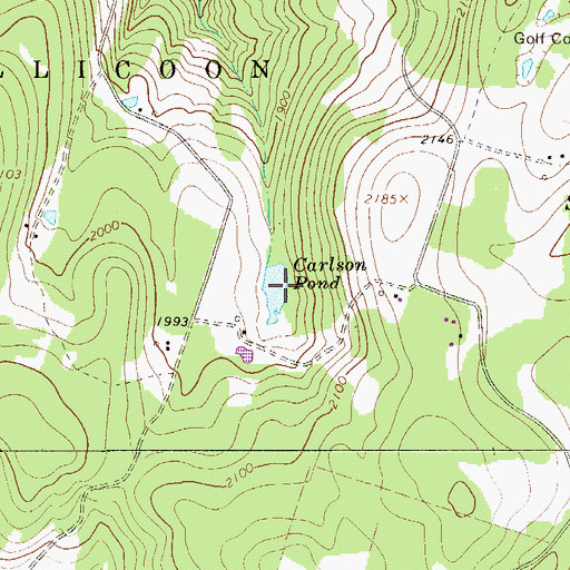 Topographic Map of Carlson Pond, NY