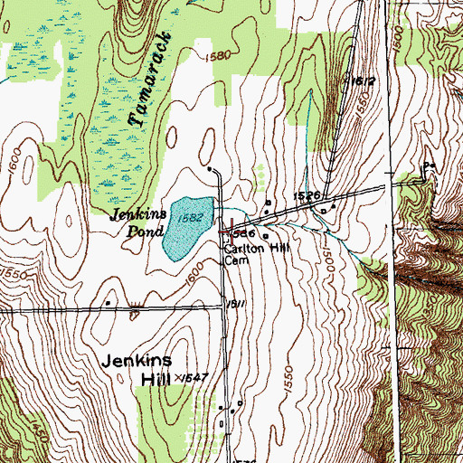 Topographic Map of Carlton Hill Cemetery, NY