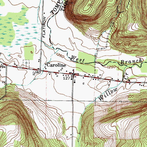 Topographic Map of Caroline, NY