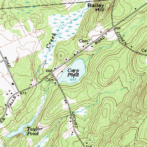 Topographic Map of Carp Pond, NY