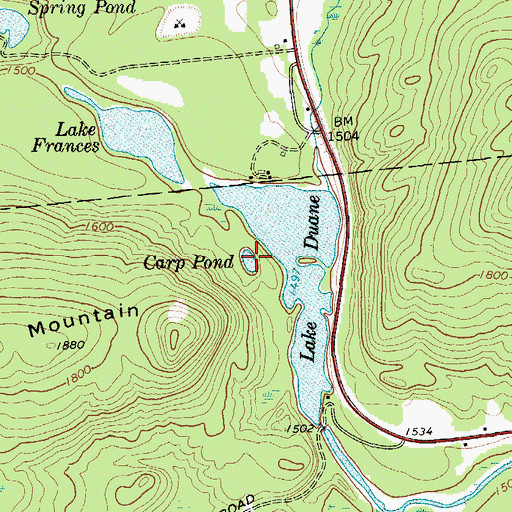 Topographic Map of Carp Pond, NY