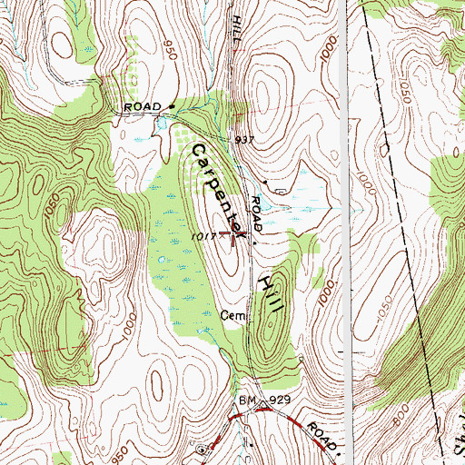 Topographic Map of Carpenter Hill, NY
